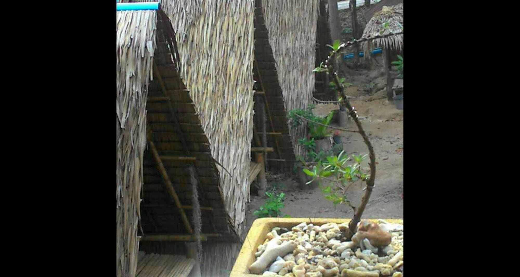 Lipe Camping Zone Экстерьер фото